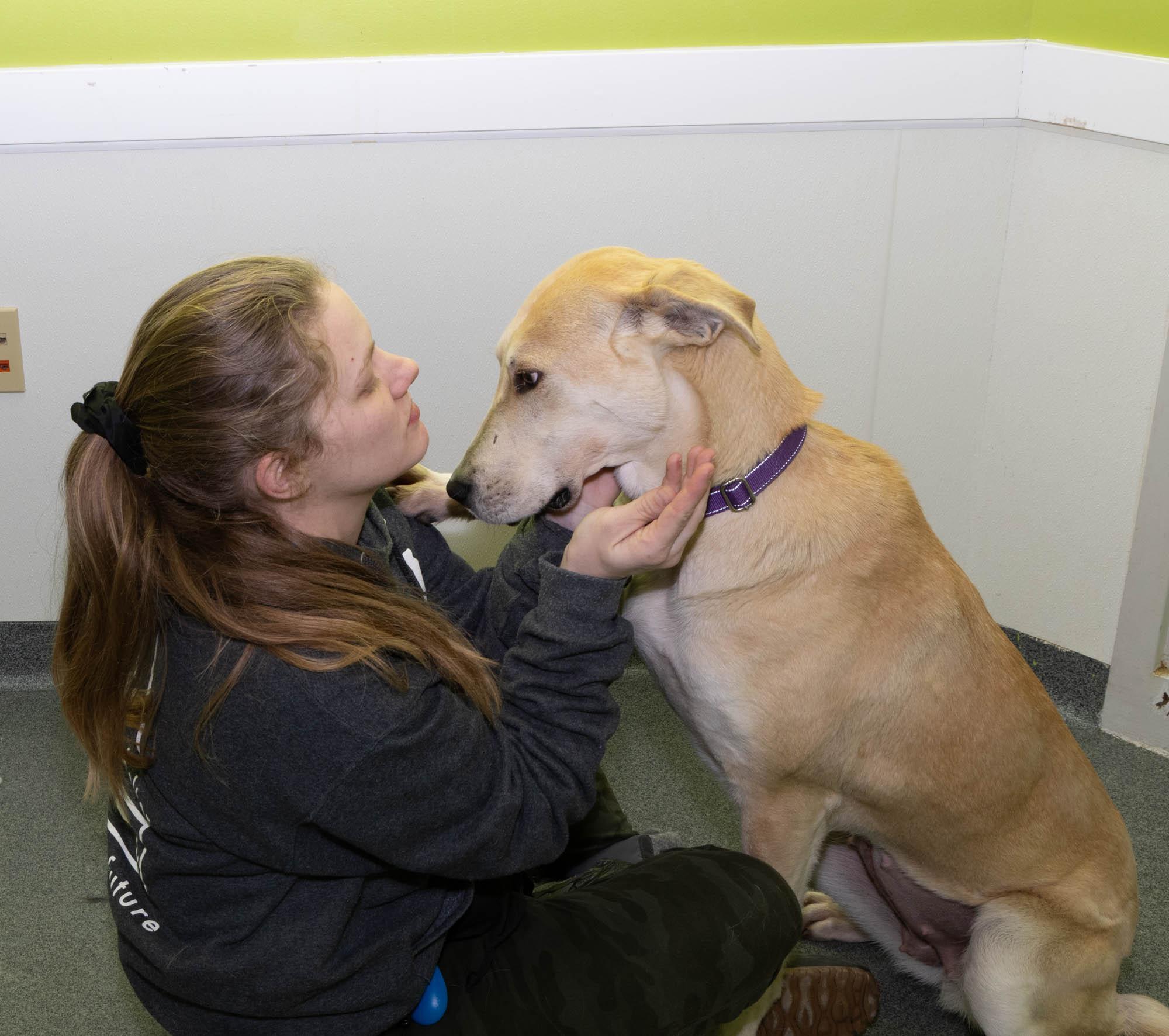 Enlarge Margerine, a ADOPTABLE Mixed Breed in Mount Pleasant, MI image 3/4