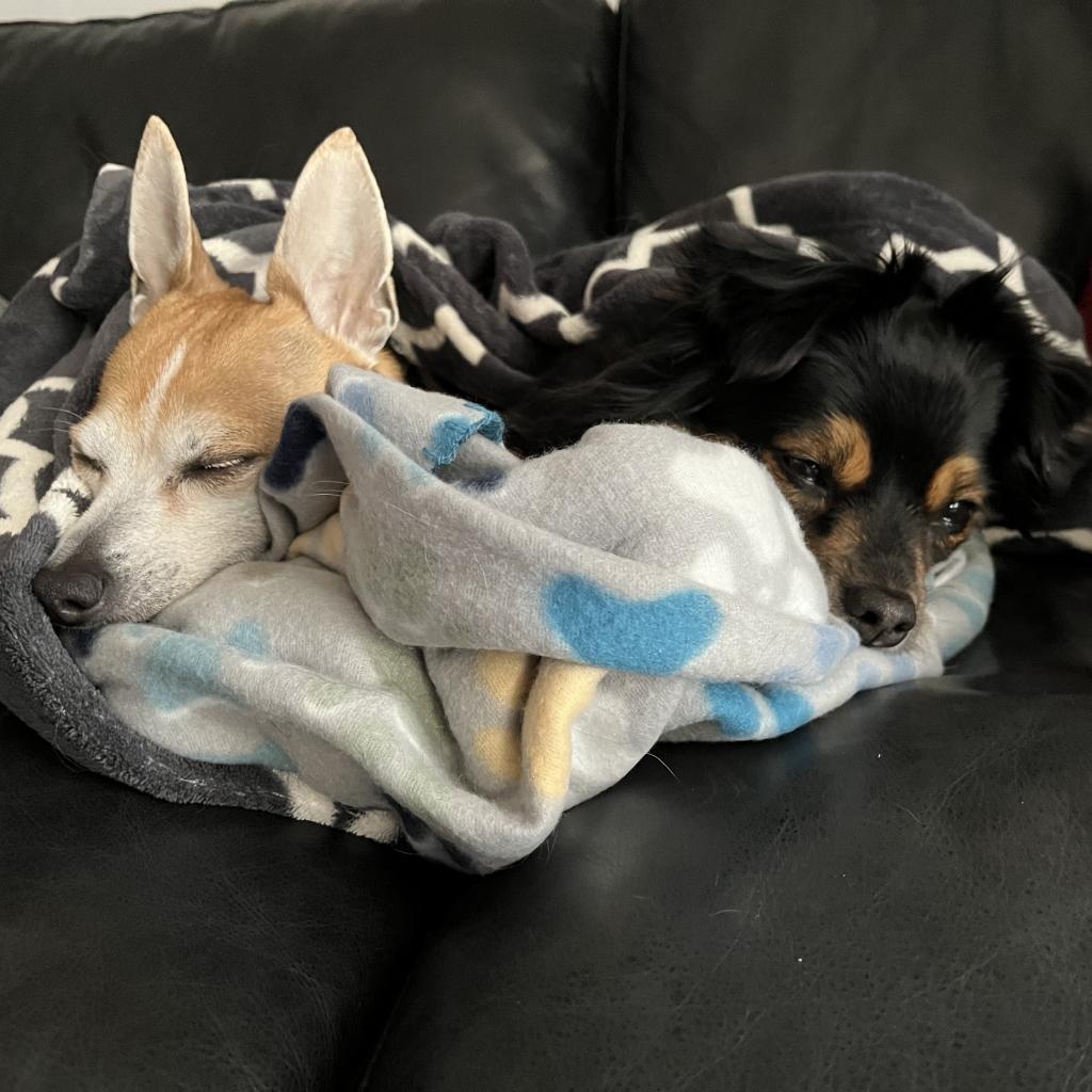 Hawkeye & Radar 4