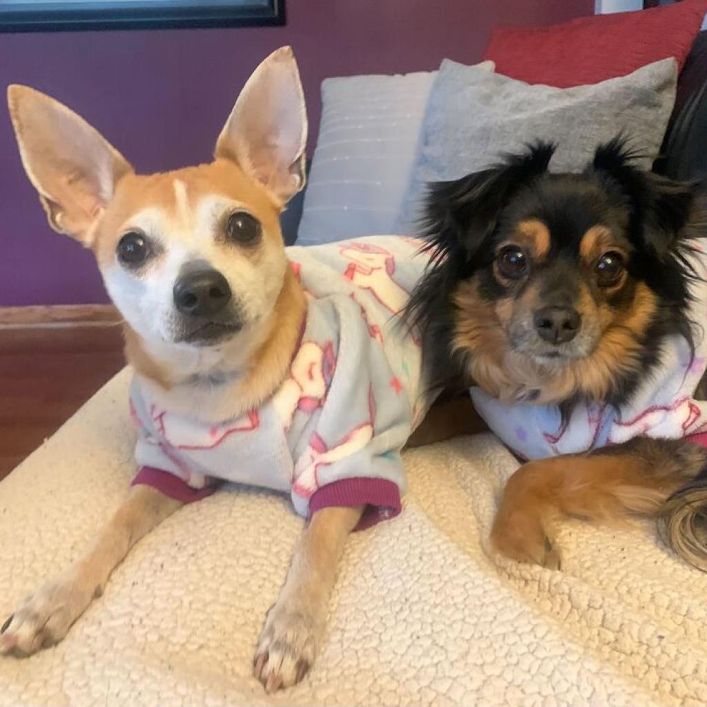 Hawkeye & Radar