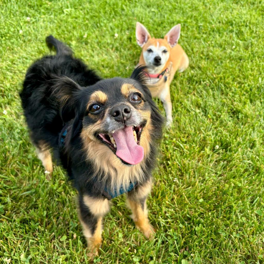 Hawkeye & Radar 3