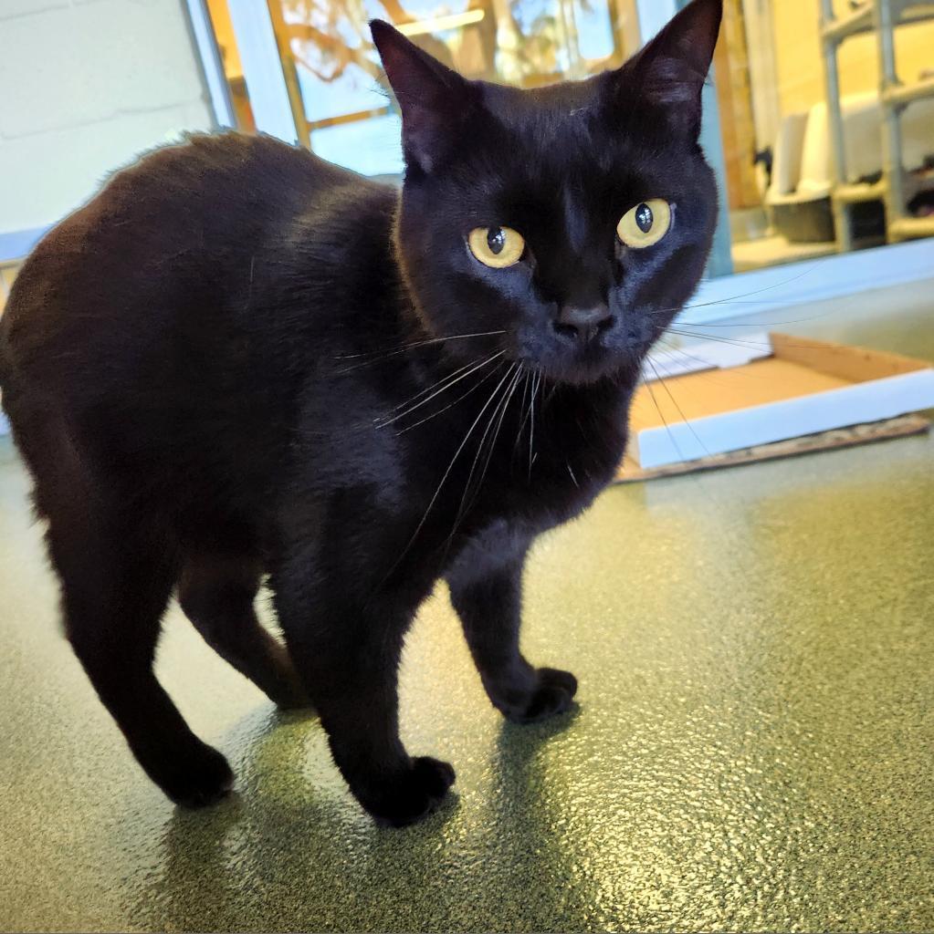 Sunny — thumbnail 2