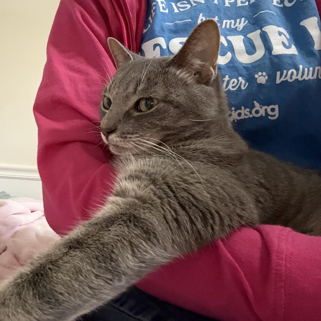 Blue 3 — thumbnail 3