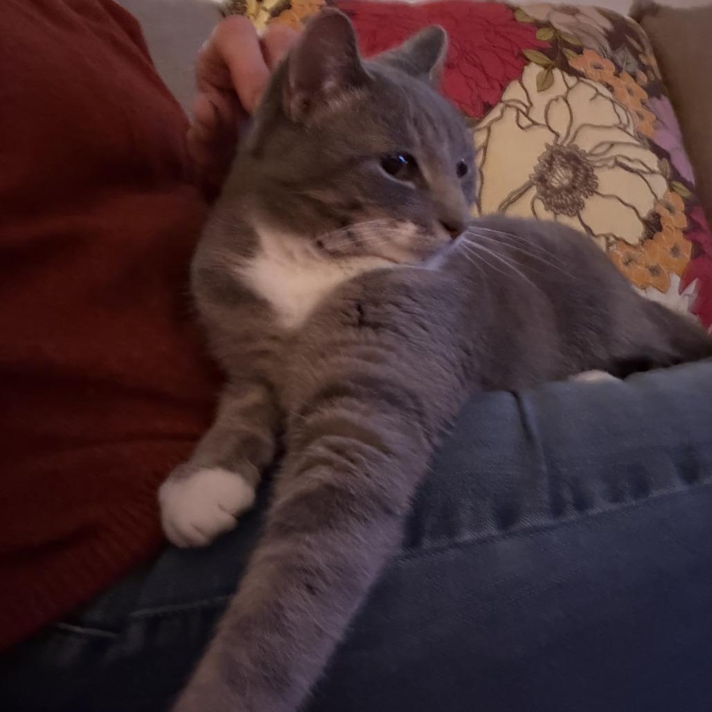 Blue 3 — thumbnail 4