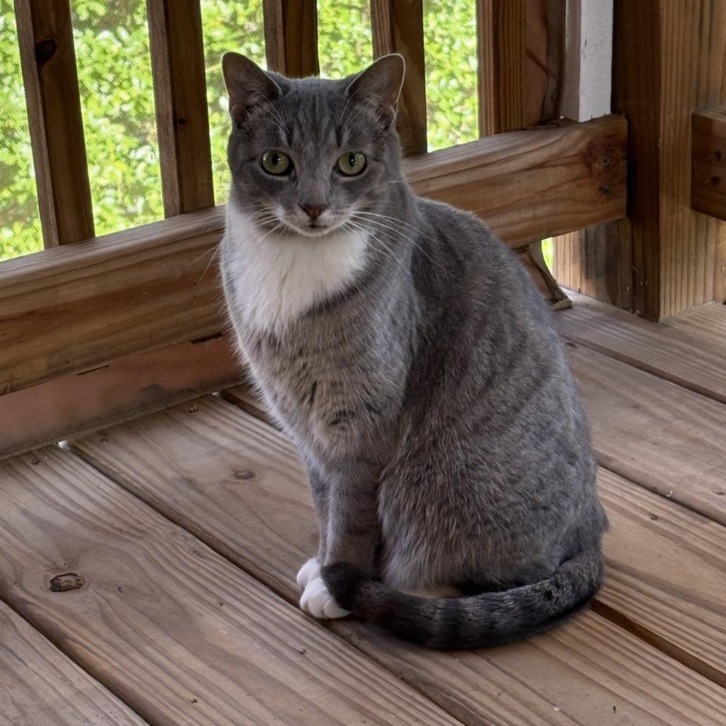 Blue 3 — thumbnail 5