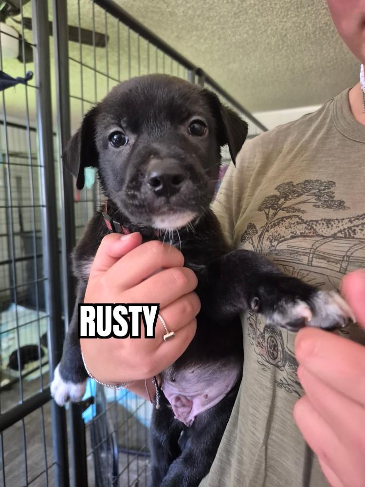 Rusty