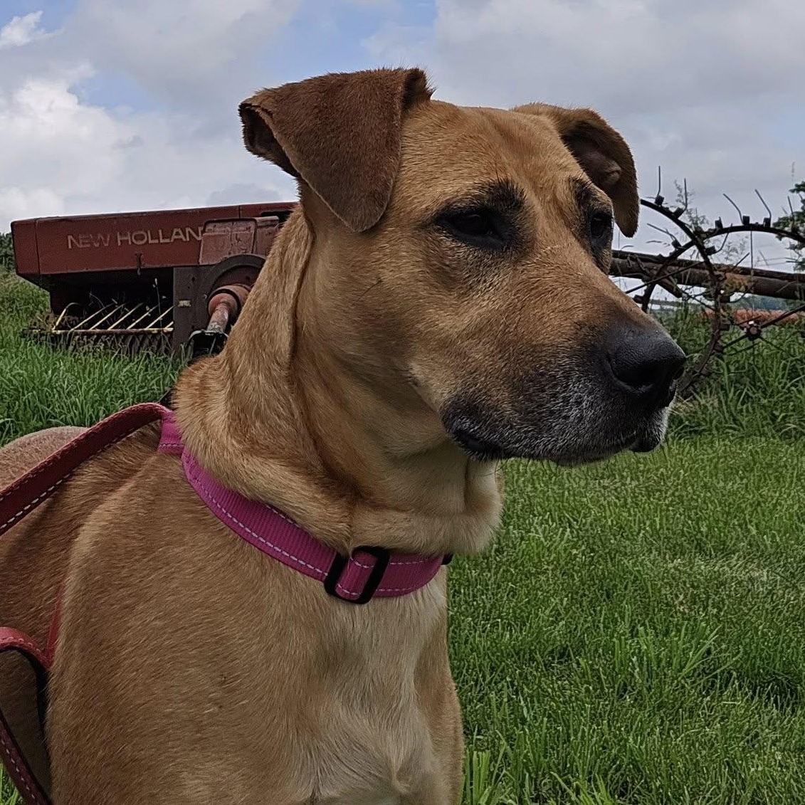 Winnie