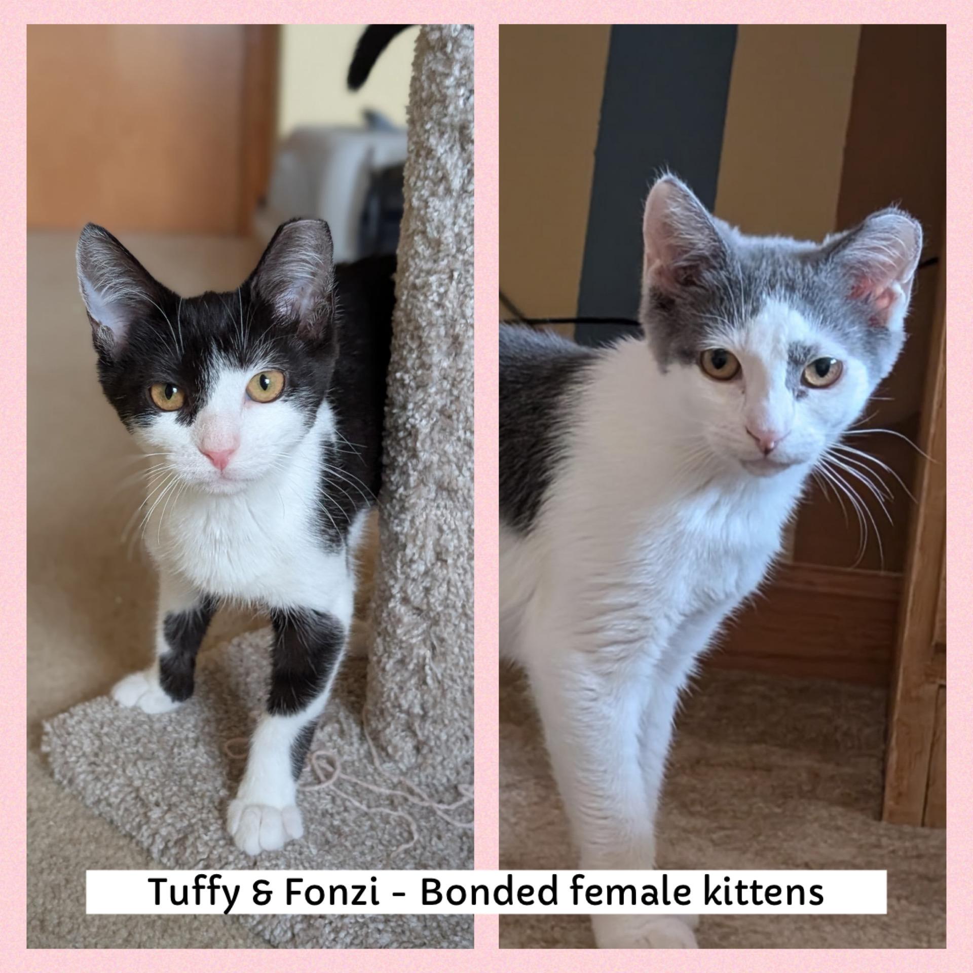 Tuffy & Fonzi