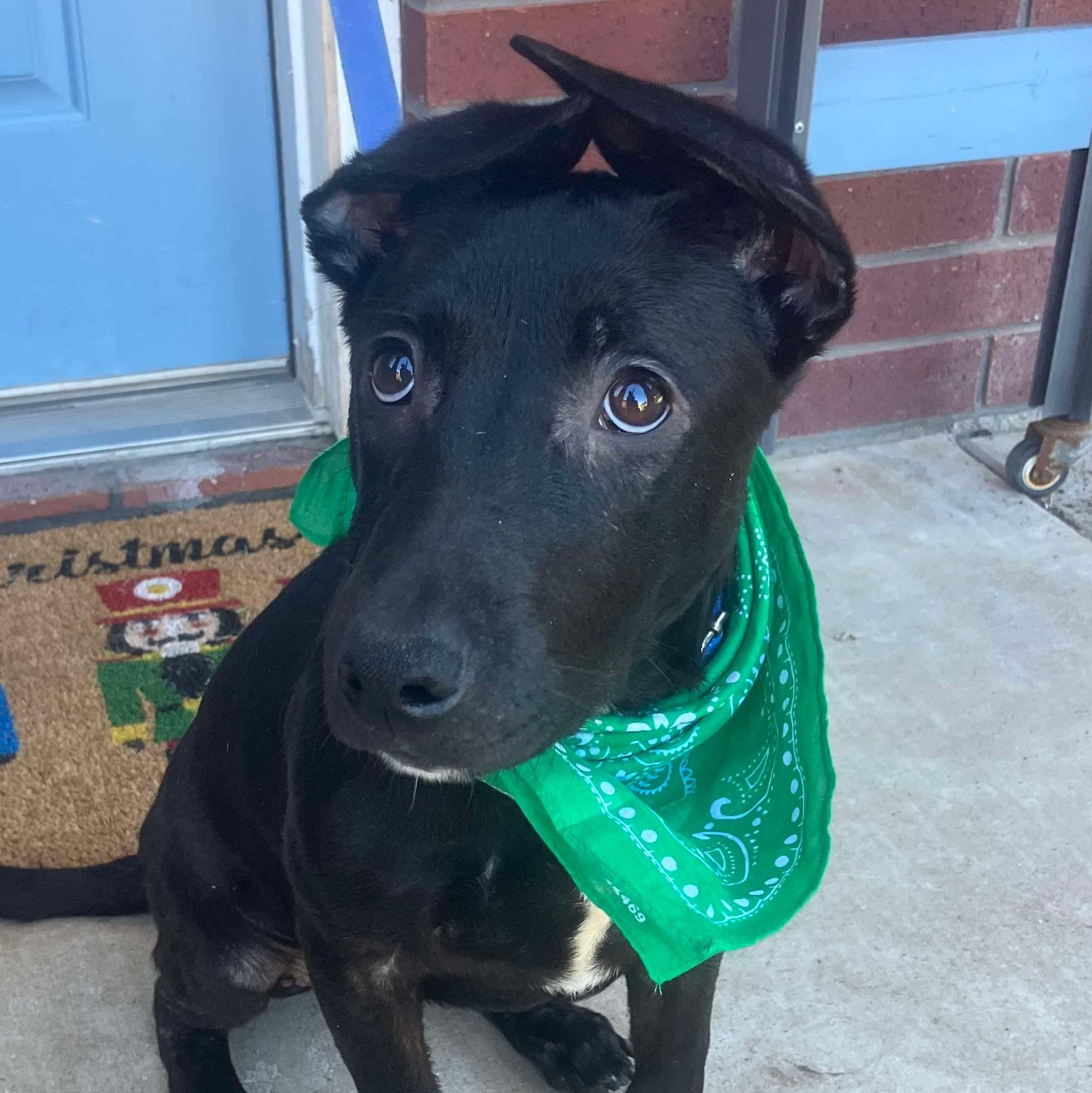 Terri — thumbnail 3