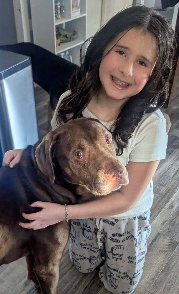 Enlarge Harry, a Adoptable mixed breed in Columbus, OH image 3/6