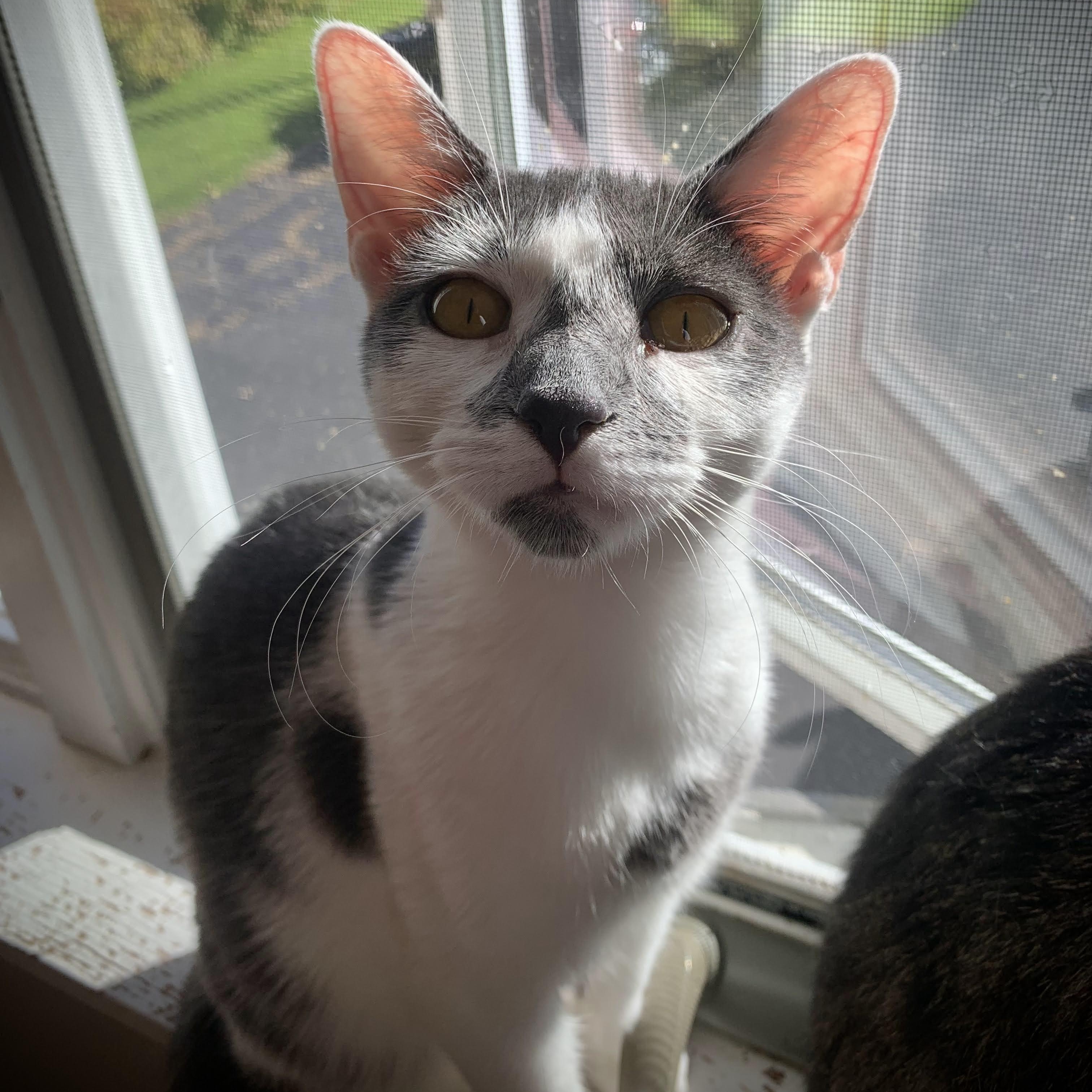 Jenna, Jackie, & Joey