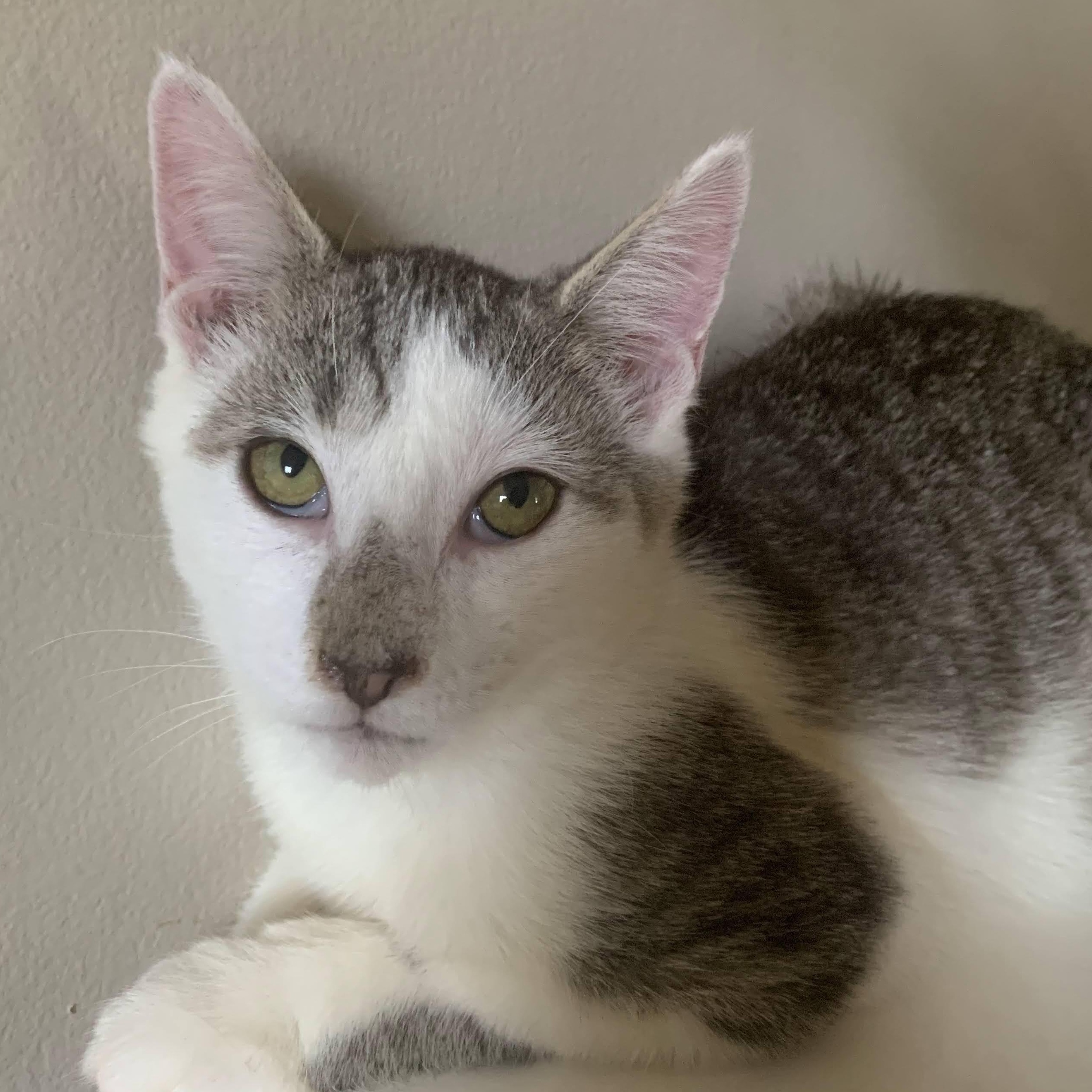 Jenna, Jackie, & Joey — thumbnail 2