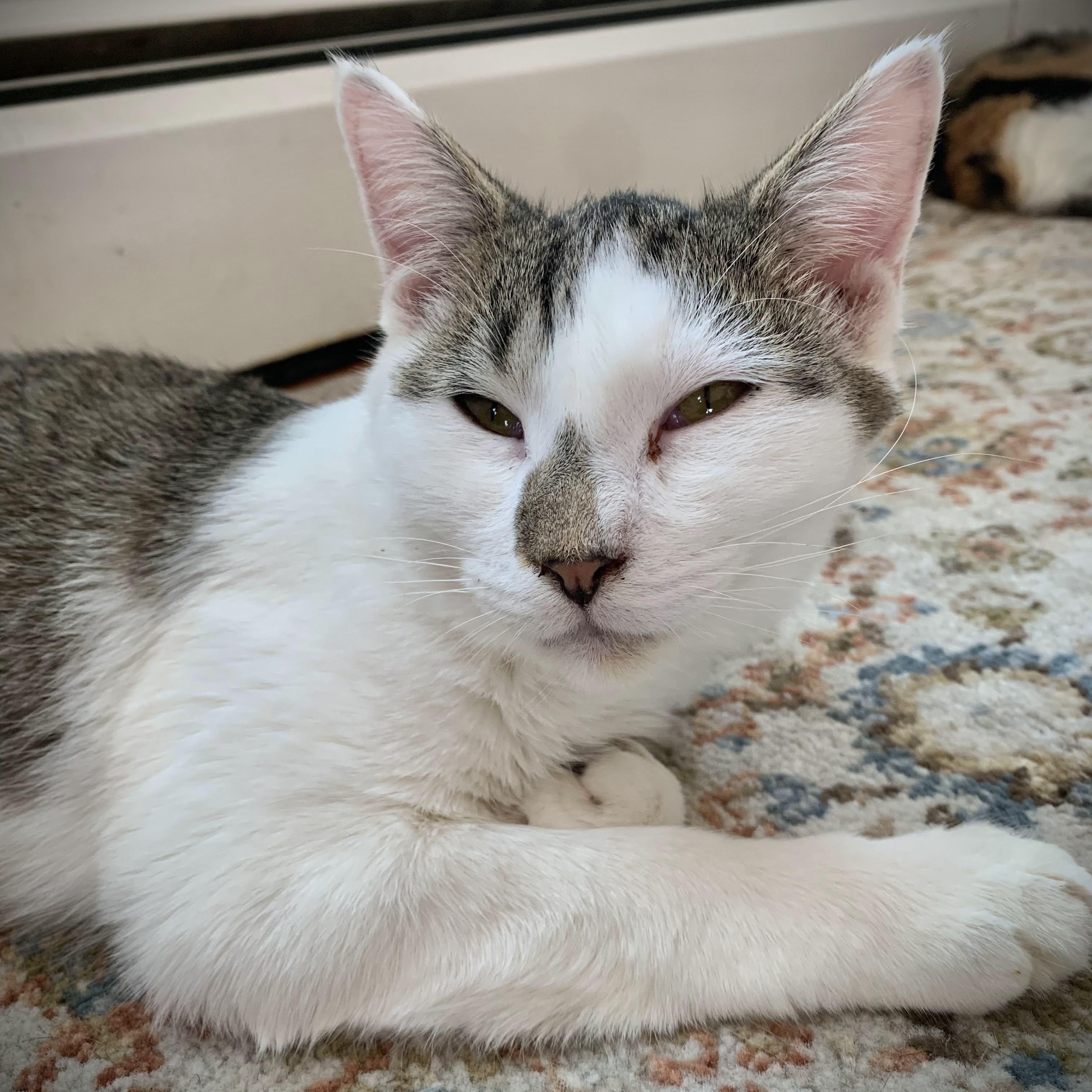 Jenna, Jackie, & Joey