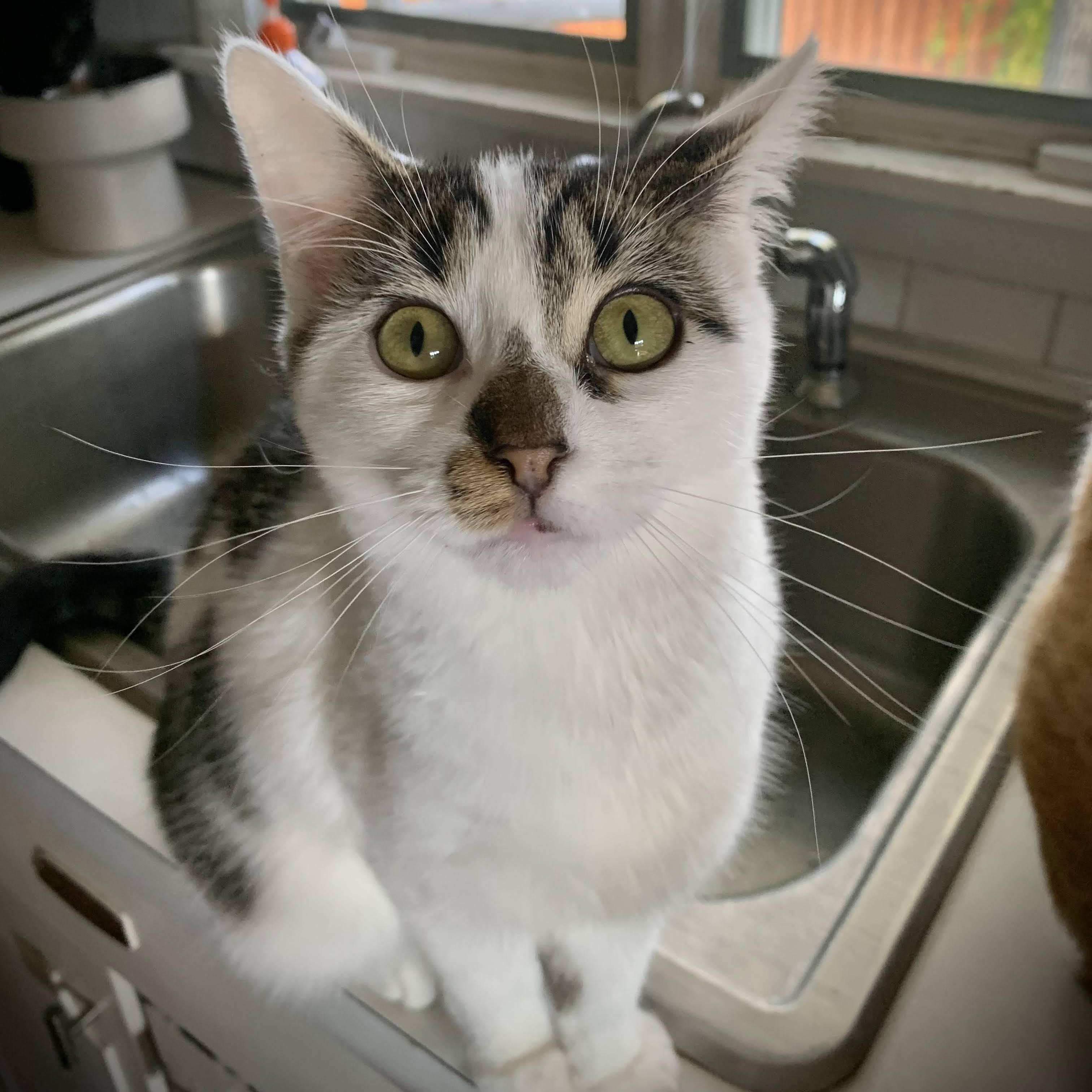 Jenna, Jackie, & Joey — thumbnail 5