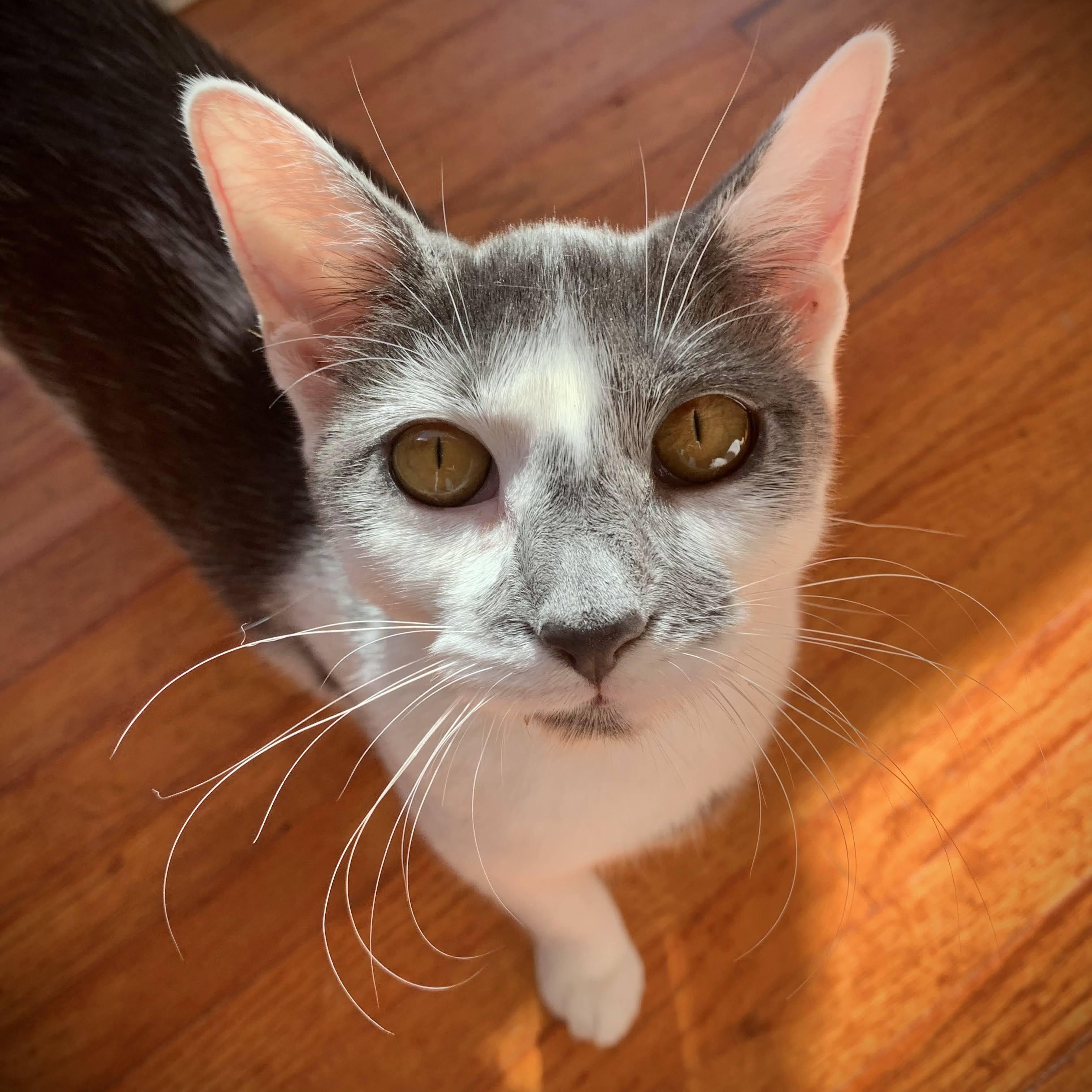 Jenna, Jackie, & Joey — thumbnail 6