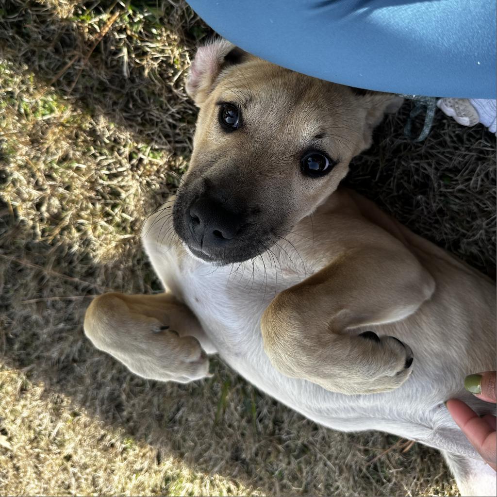 Louise — thumbnail 2