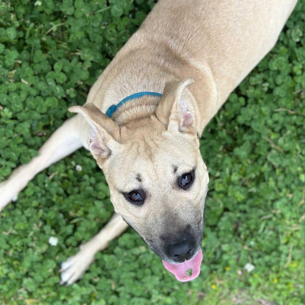 Louise — thumbnail 3