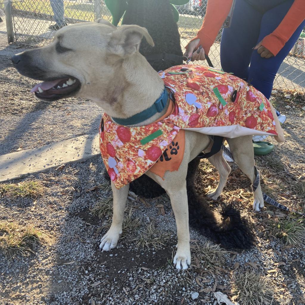 Louise — thumbnail 4