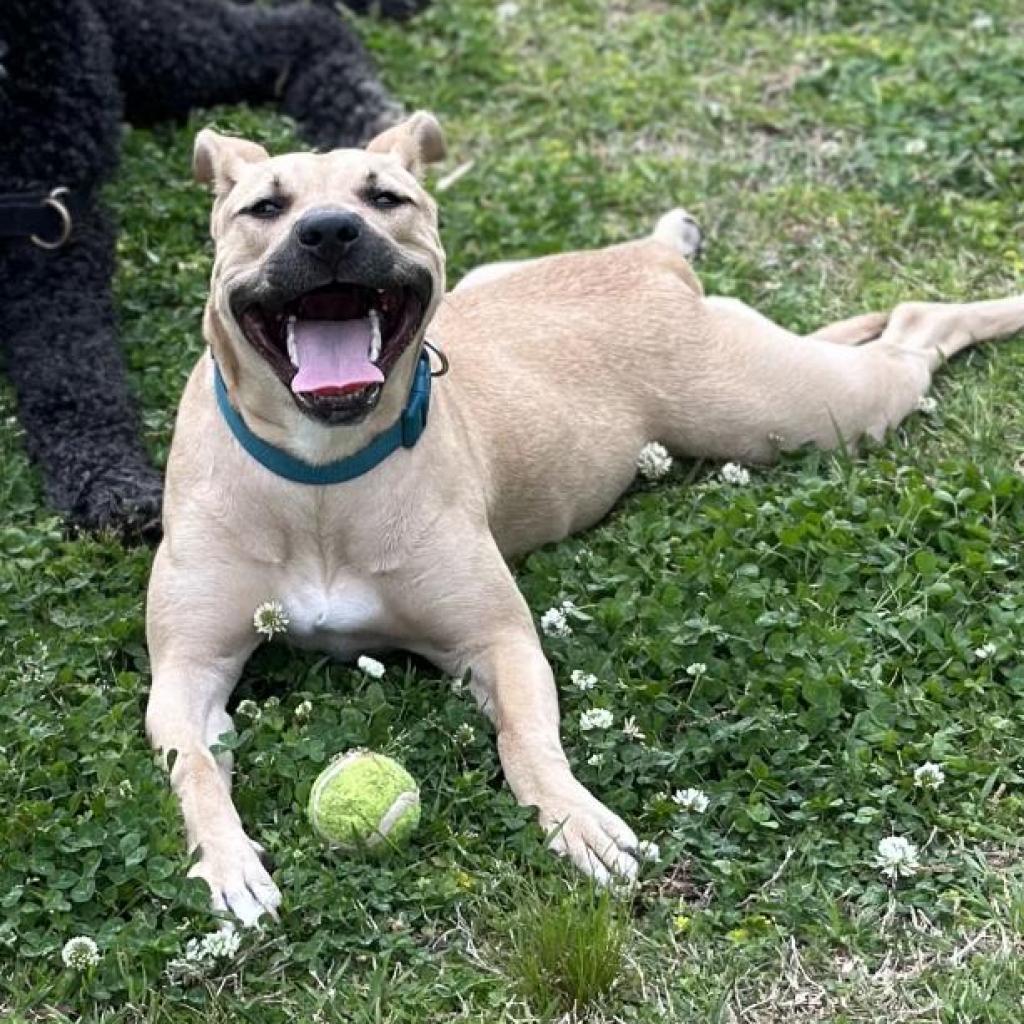 Louise — thumbnail 5