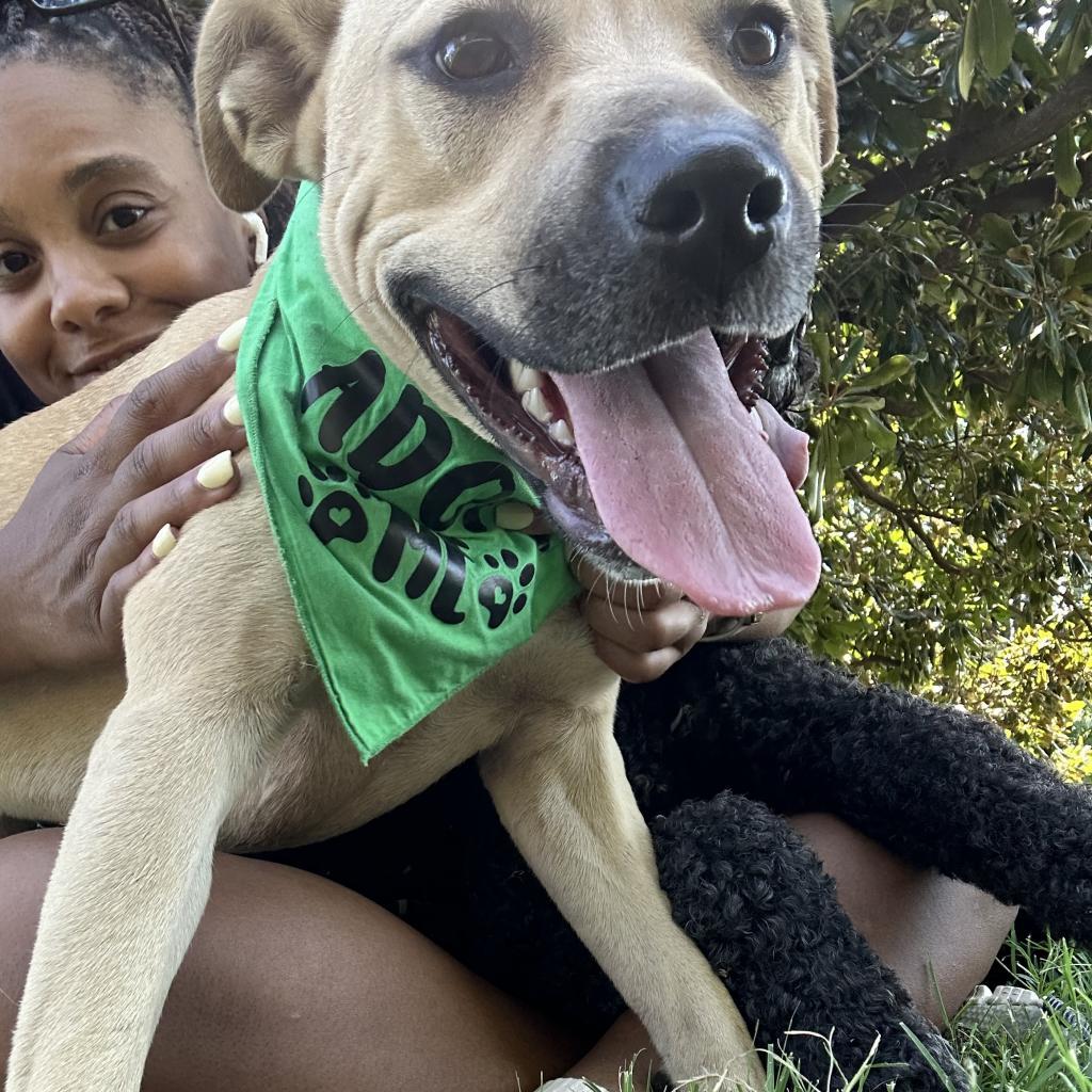 Louise — thumbnail 6