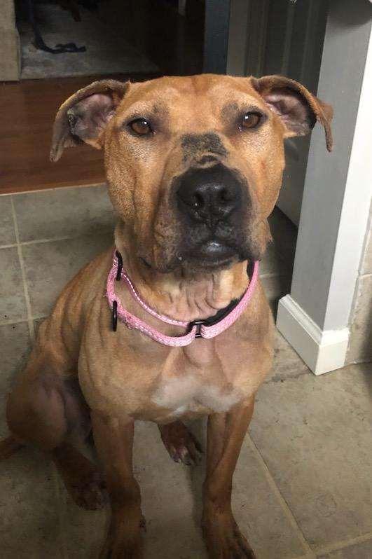 Sunbury   Penelope thumbnail 3