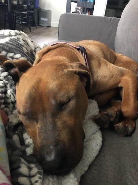 Sunbury   Penelope thumbnail 7