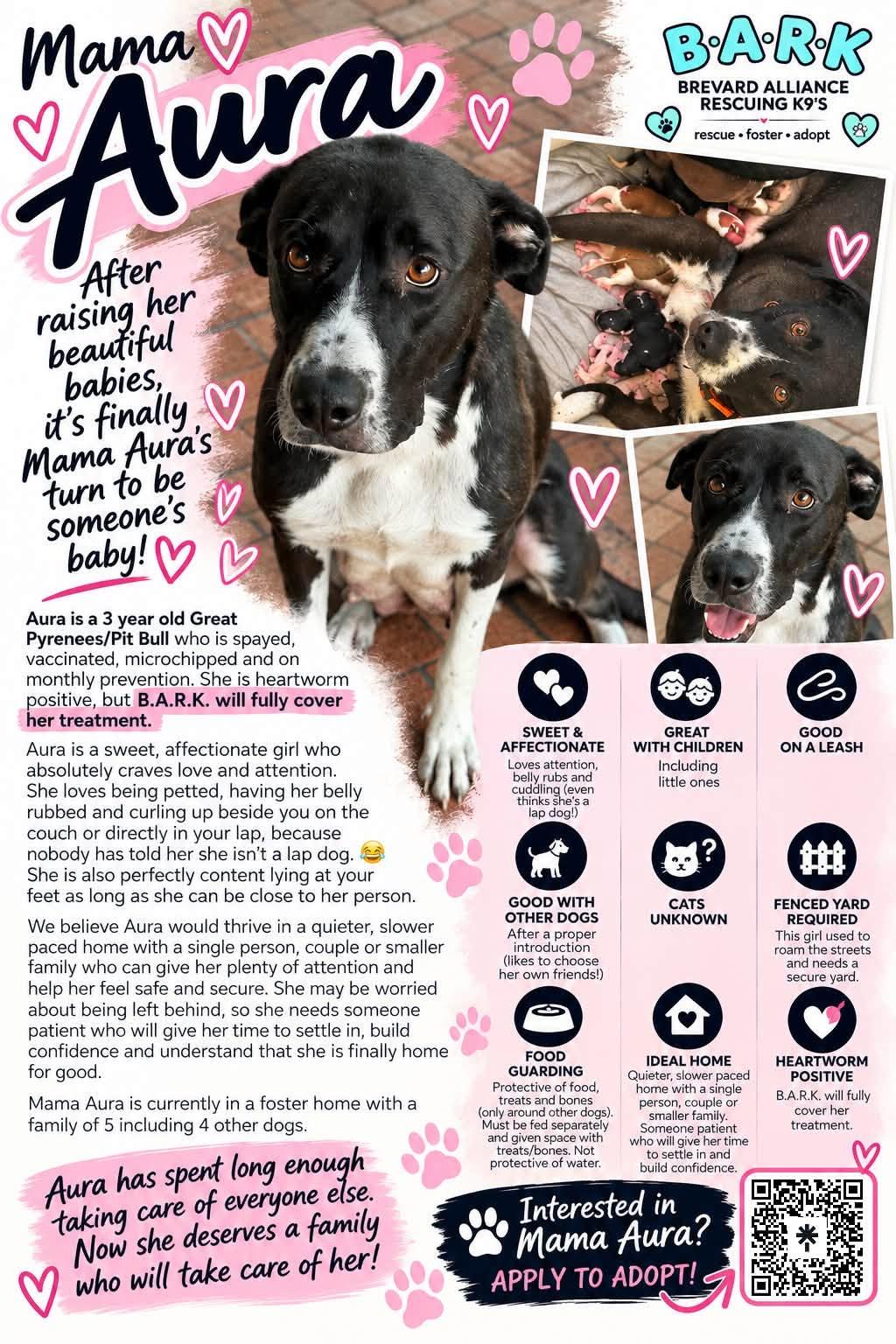 Enlarge Aura, a Adoptable mixed breed in Palm Bay, FL image 5/6