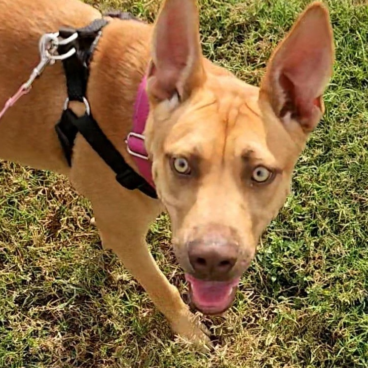 Zoey — thumbnail 6