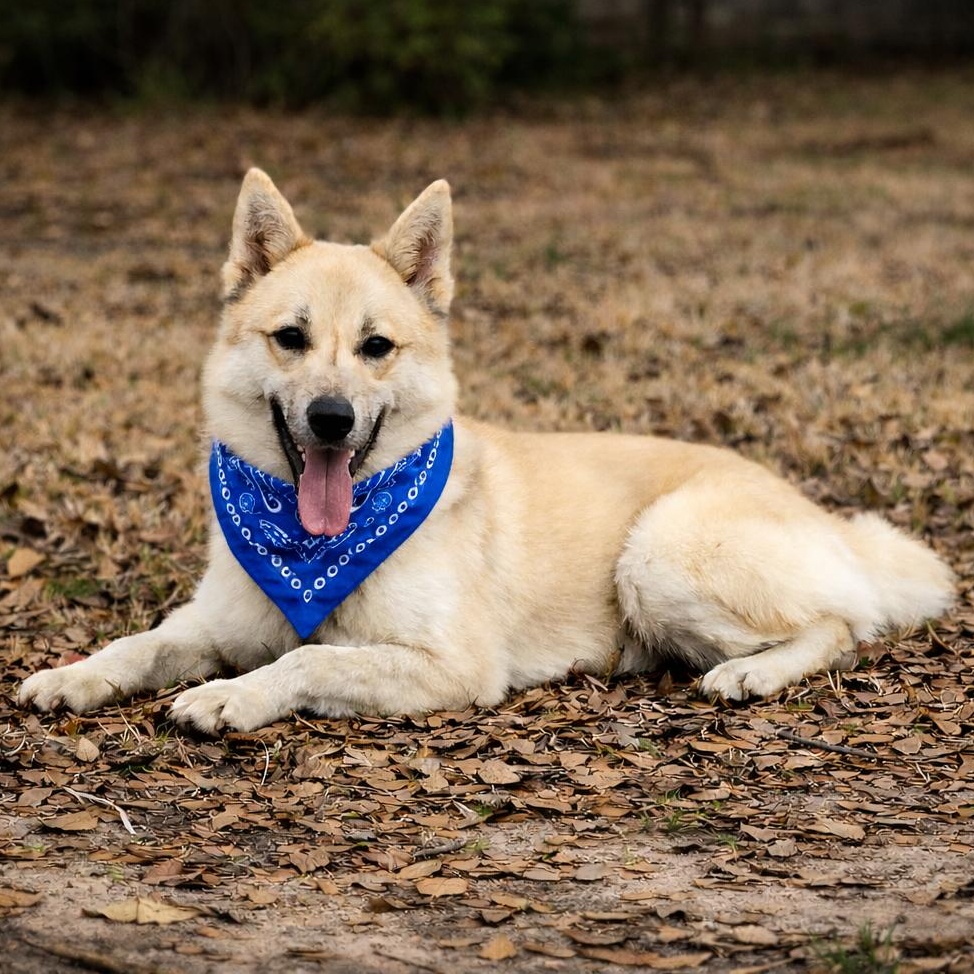 MAVERICK GS — thumbnail 3