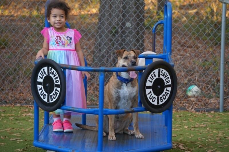 Rita Fajita Homebody Cutie