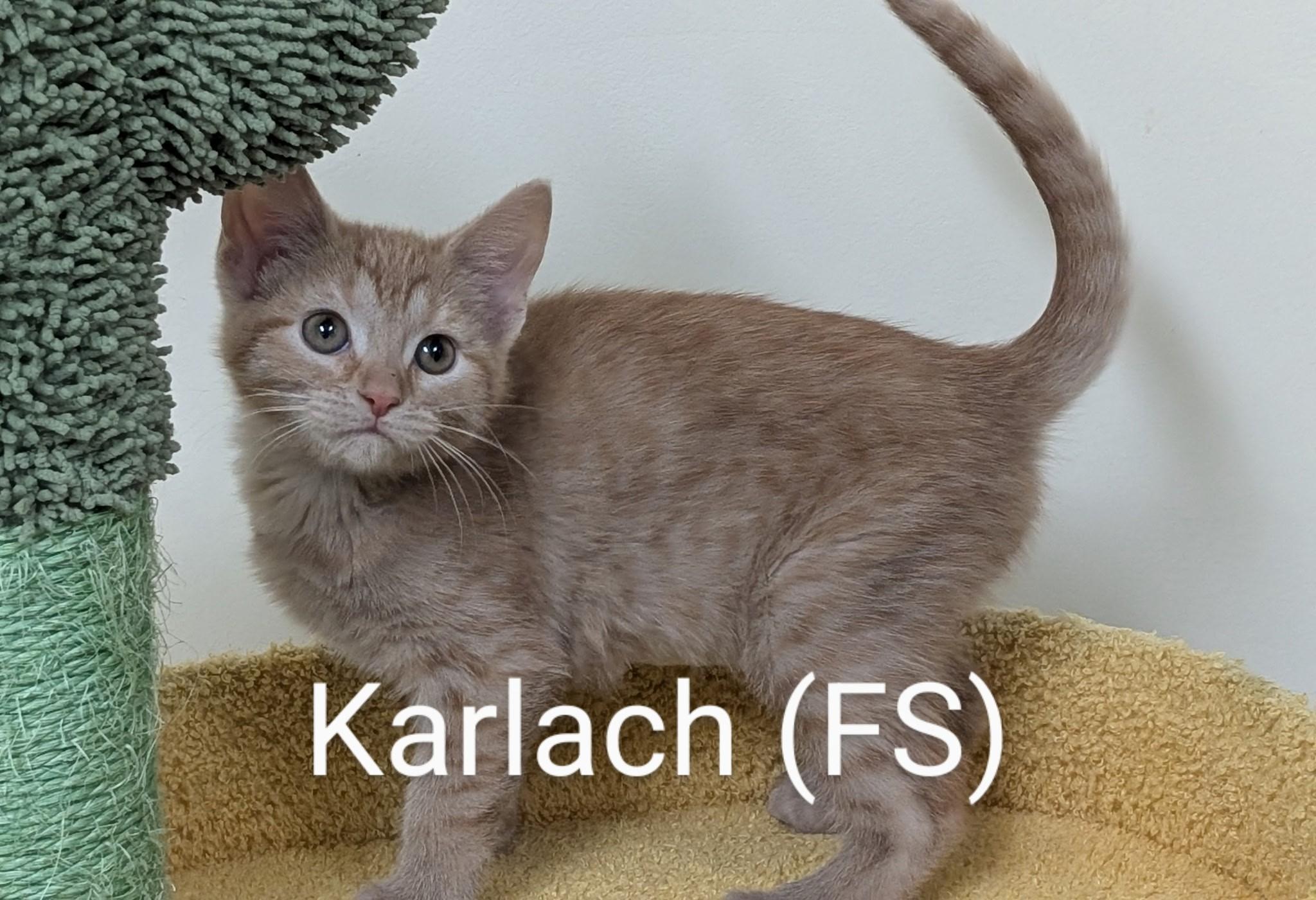 Karlach