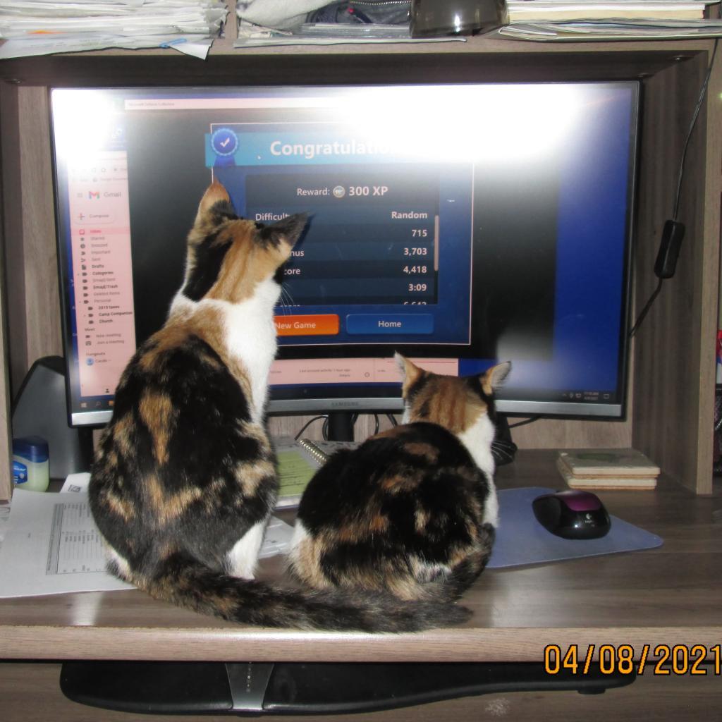 Remmy (Bridget) — thumbnail 2