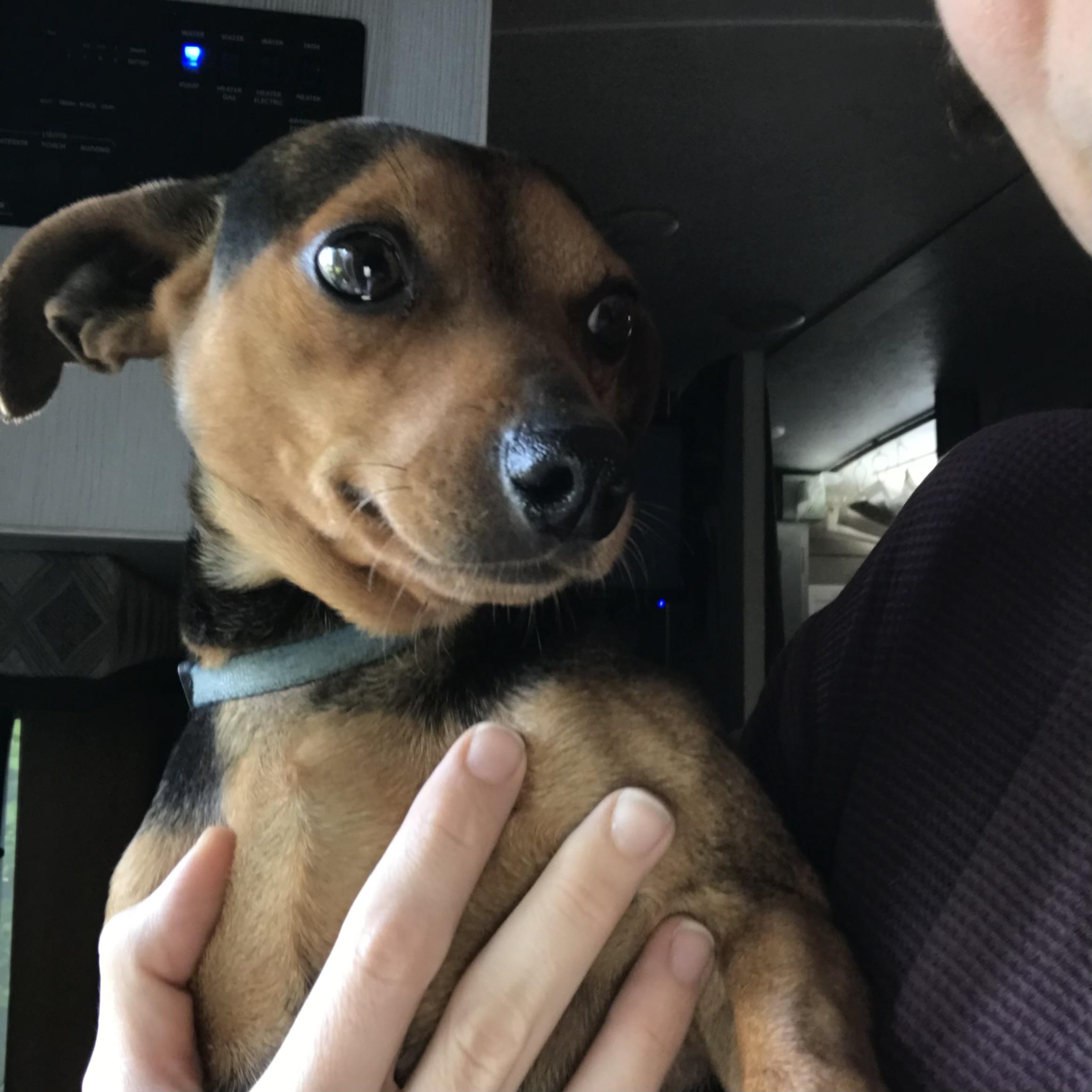 Preston & Rocco — thumbnail 3