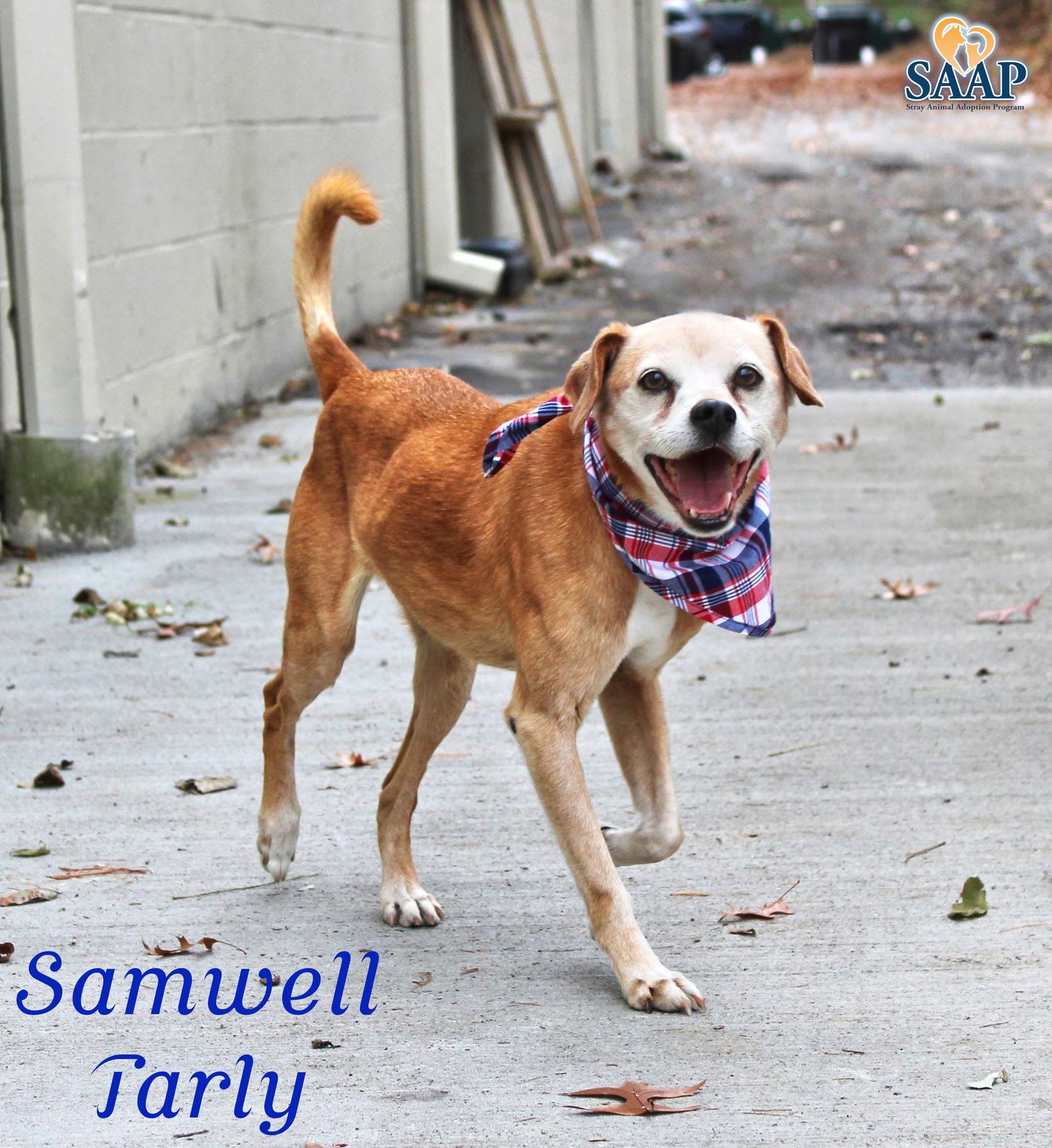 Samwell Tarly — thumbnail 2