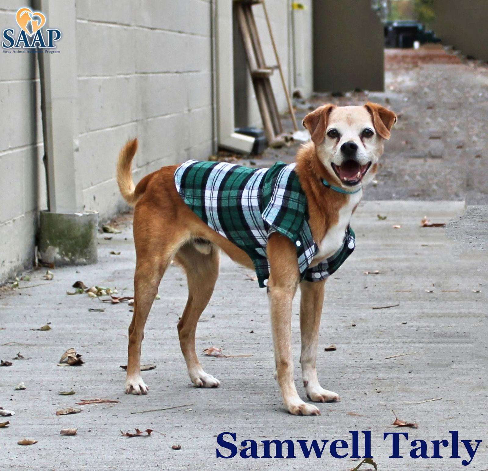 Samwell Tarly — thumbnail 3