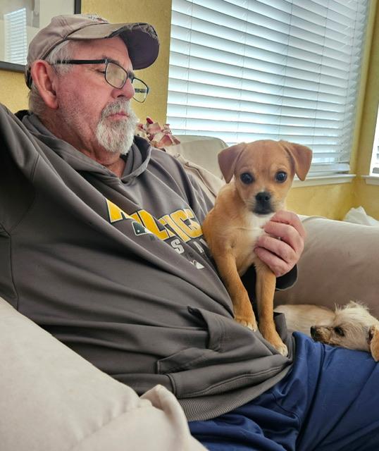 Penelope, a ADOPTABLE mixed breed in clayton , CA image 4/6