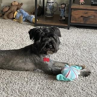 Rufus