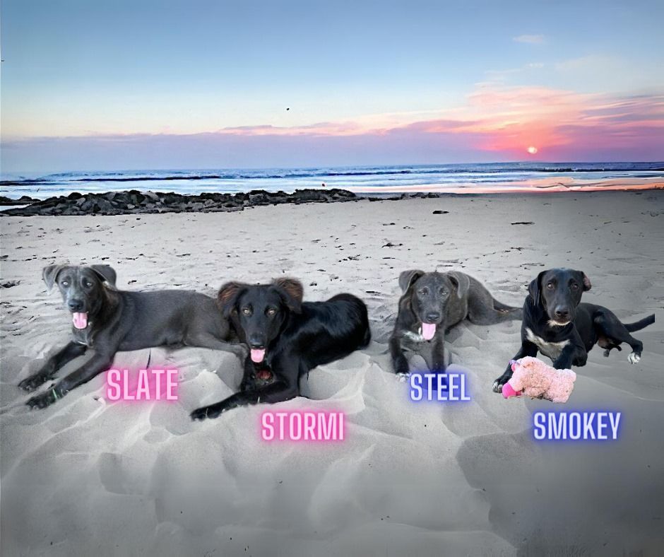 Smokey 3
