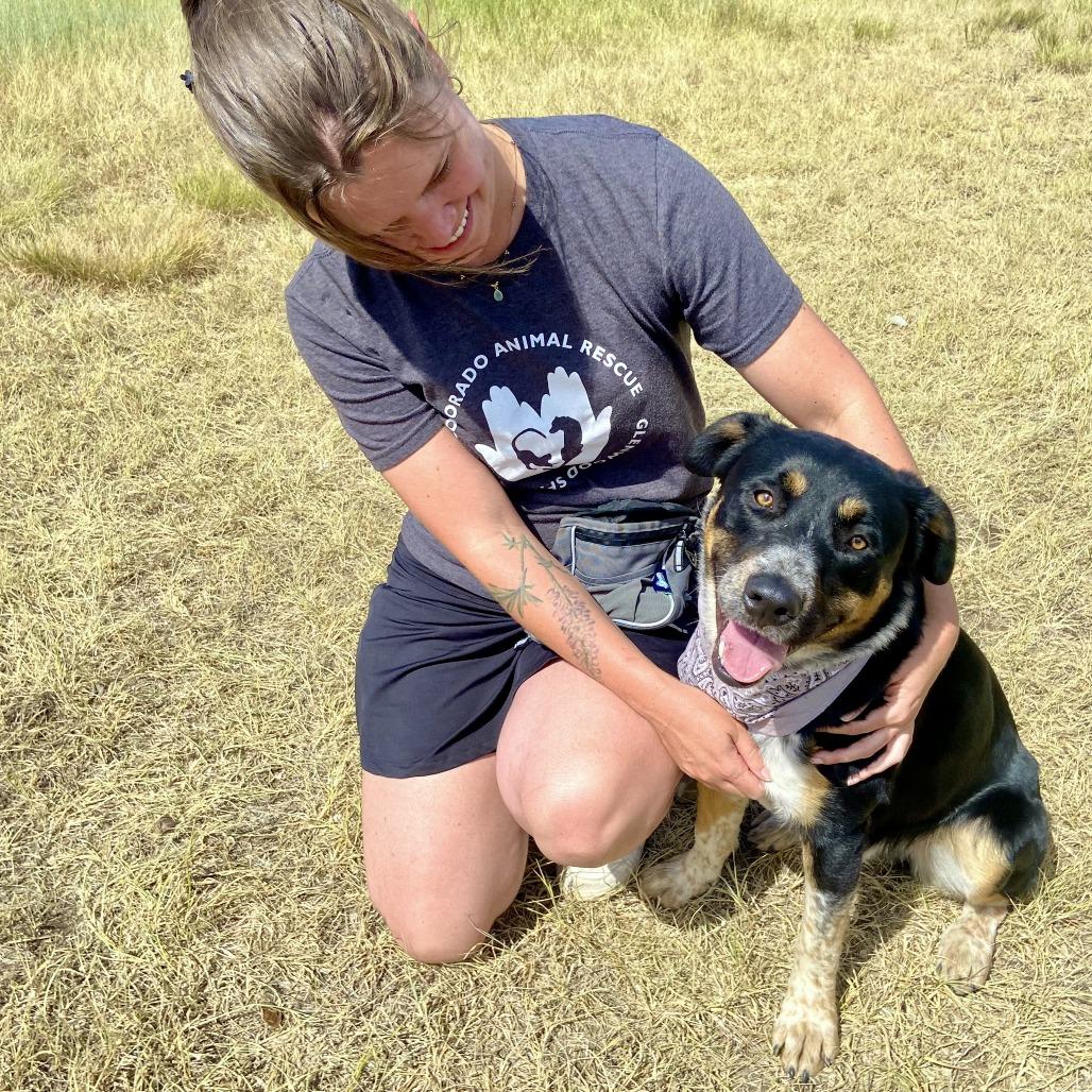 Enlarge Chance, a Adoptable mixed breed in Glenwood Springs, CO image 3/6