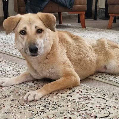 Ms. Marvelous Minu ( Paralyzed)