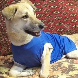 Ms. Marvelous Minu ( Paralyzed)