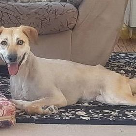 Ms. Marvelous Minu ( Paralyzed)