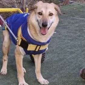 Ms. Marvelous Minu ( Paralyzed)