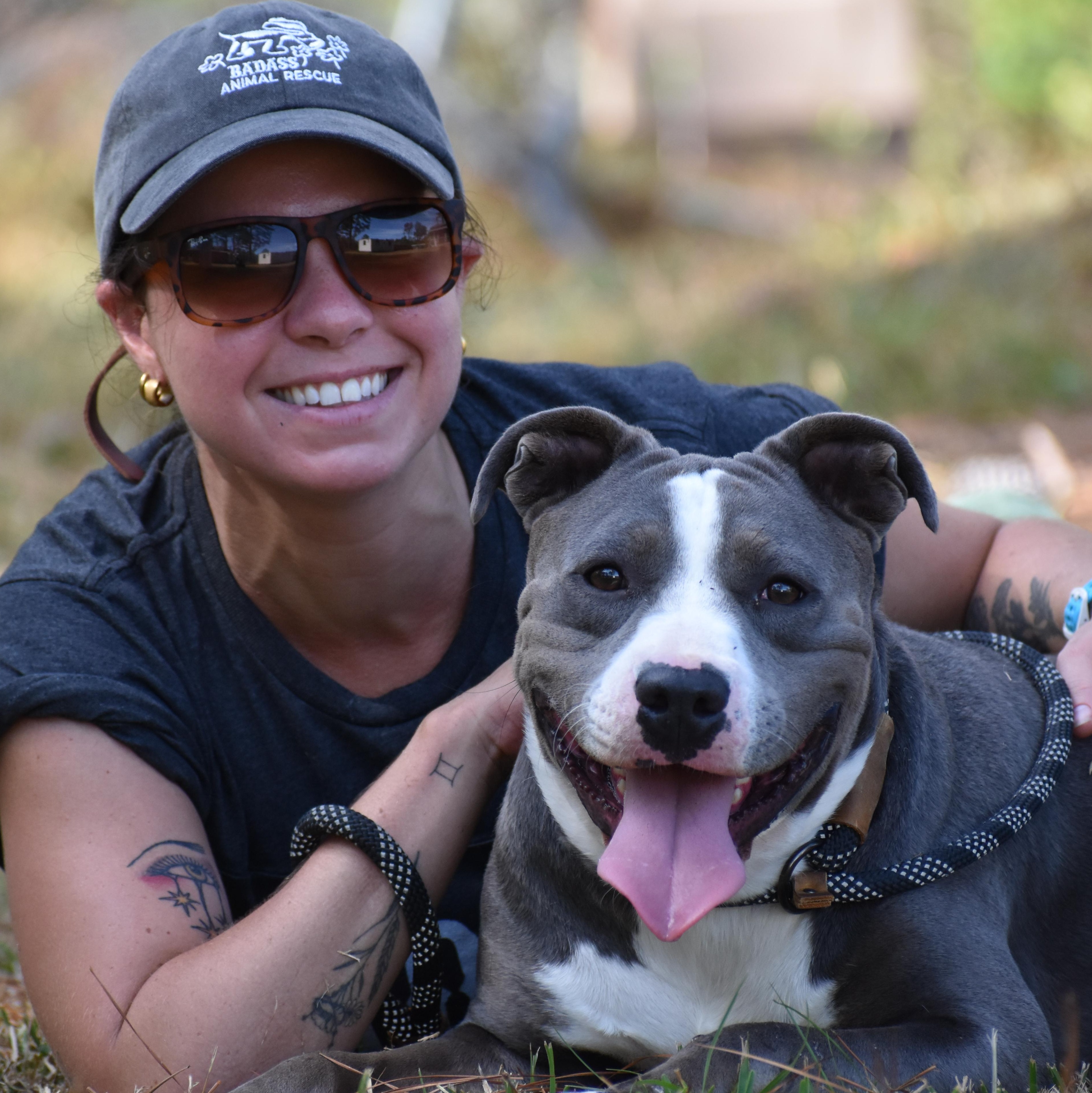 Enlarge Nikola Jokic, a ADOPTABLE mixed breed in Brooklyn, NY image 3/6