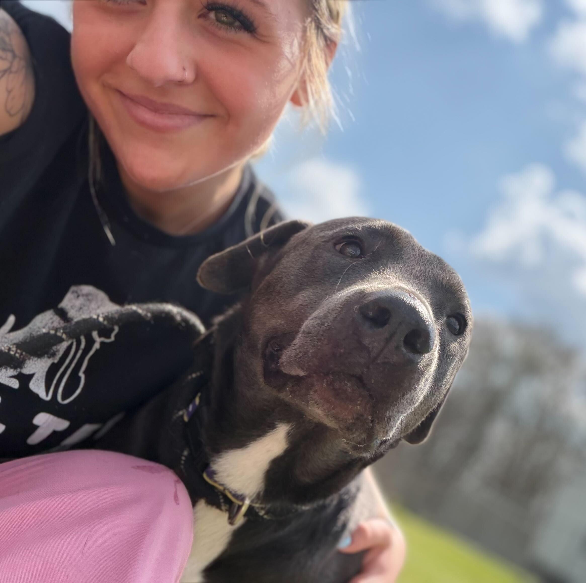 Enlarge Cookie Crisp, a ADOPTABLE mixed breed in Jefferson, WI image 2/2