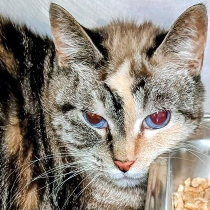 Agatha — thumbnail 2