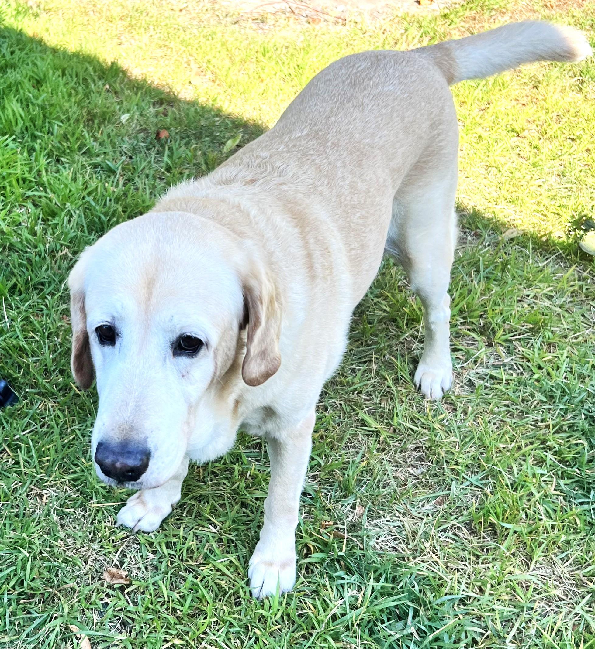 Bella Raye - Fostered in Connecticut photo 4