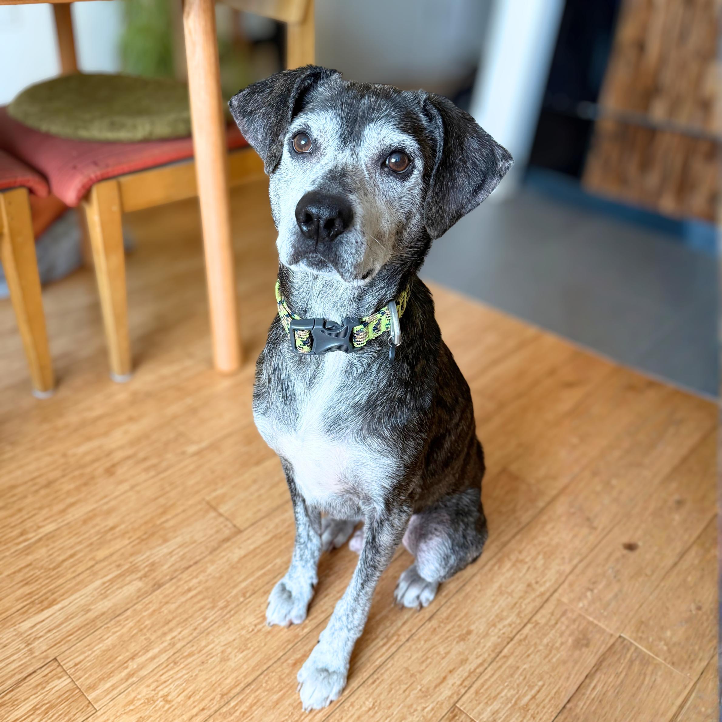 Chronos — thumbnail 2