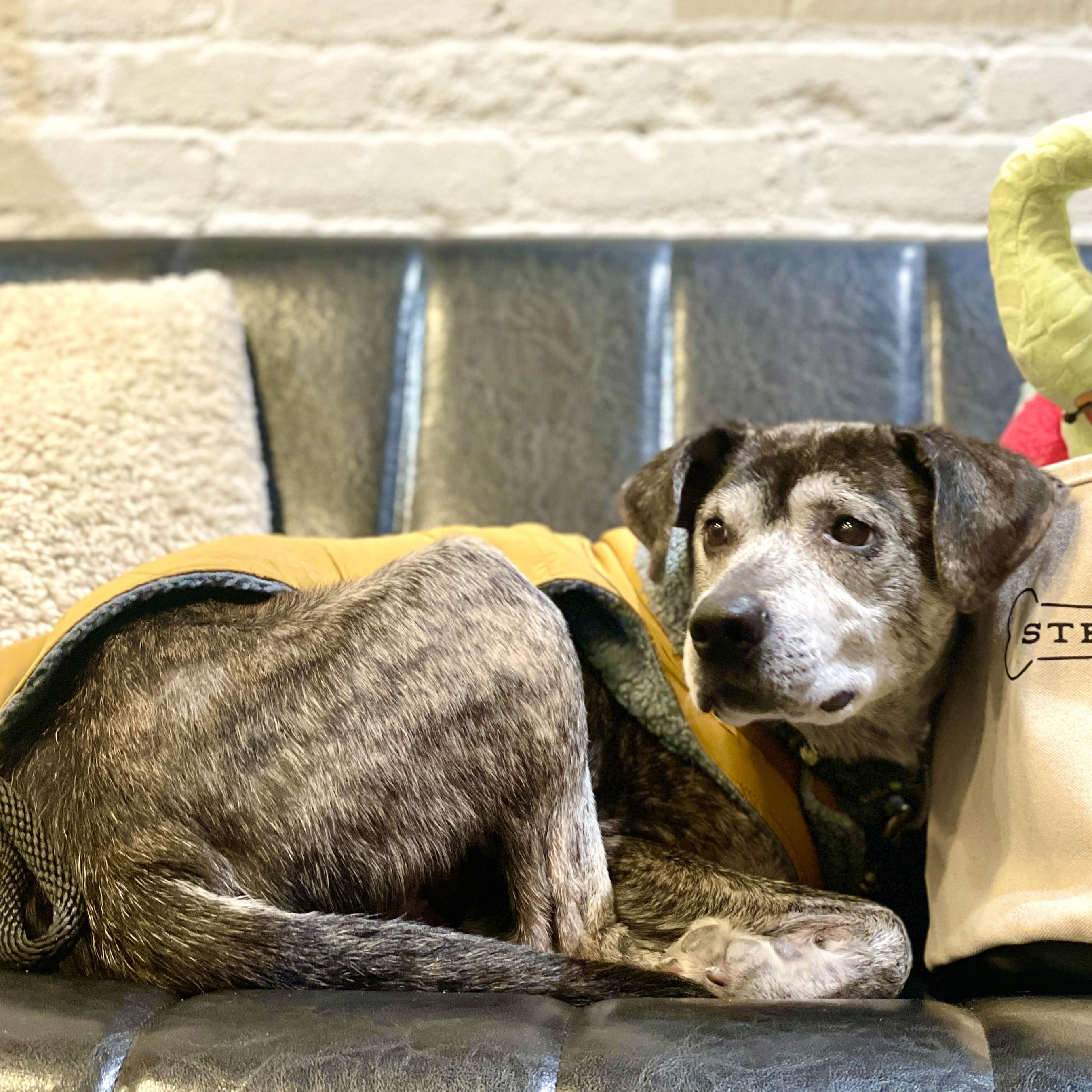 Chronos — thumbnail 3