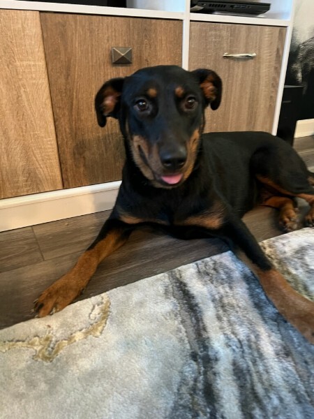 Trixie photo 1