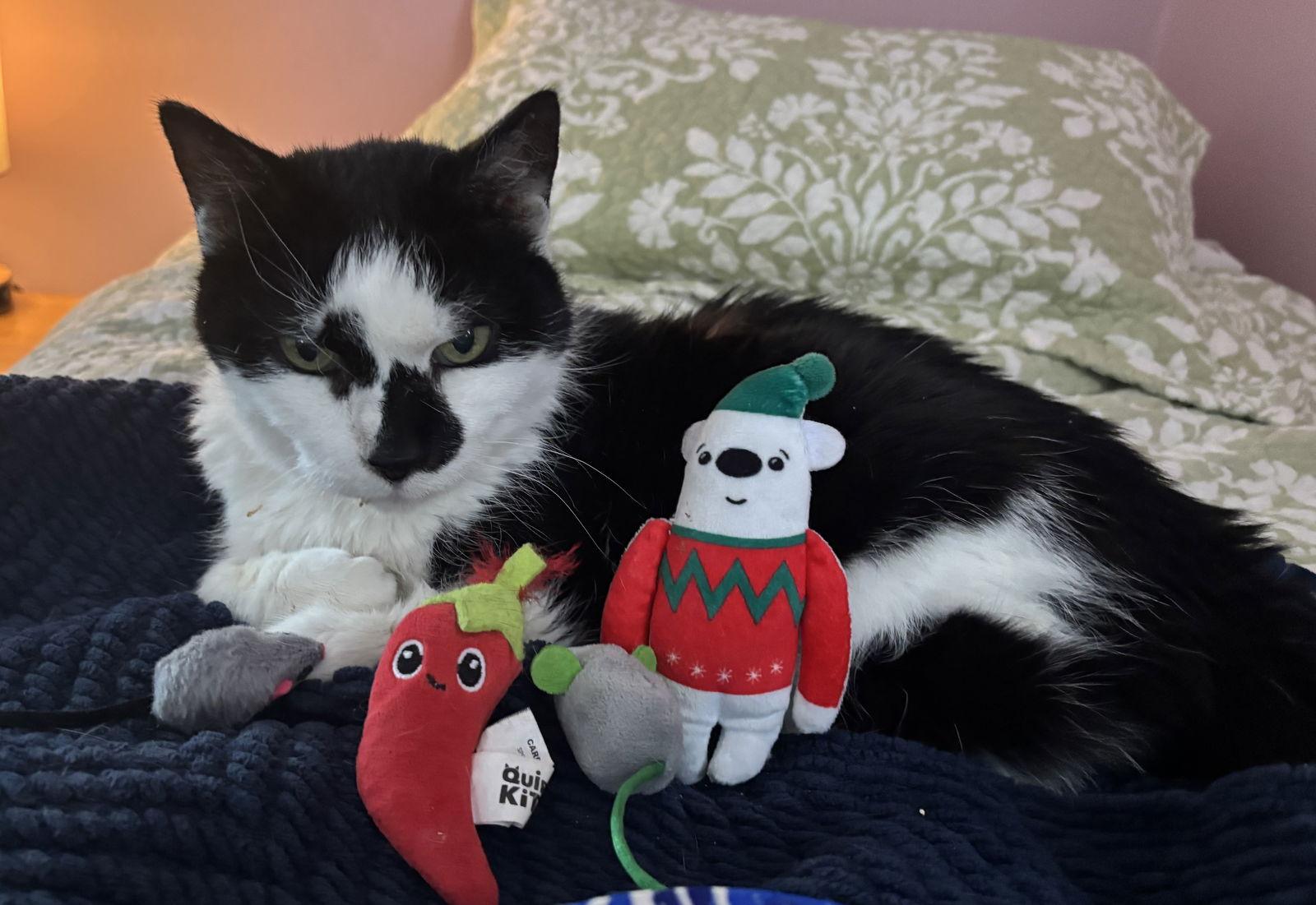 Scarlett — thumbnail 3